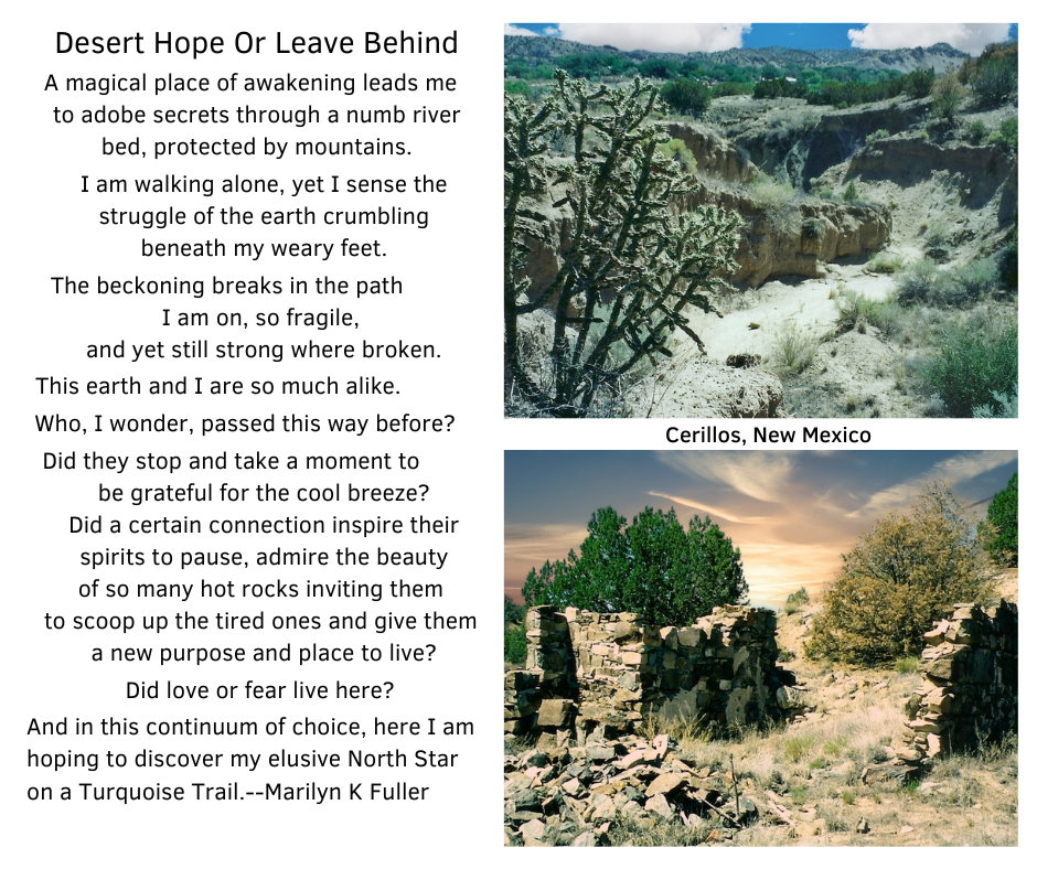 A dry river bed with cactus and mountains and another scene with ruins made from the abundant large desert stone