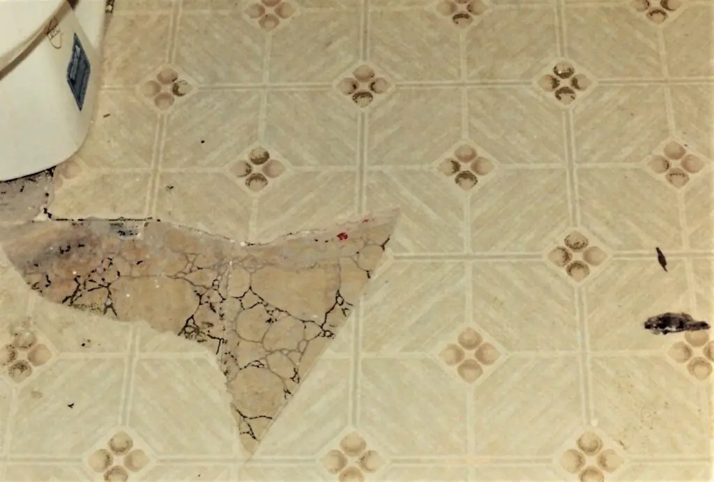 Just imagine the dirtiest, never cleaned carpets and vinyl floors.