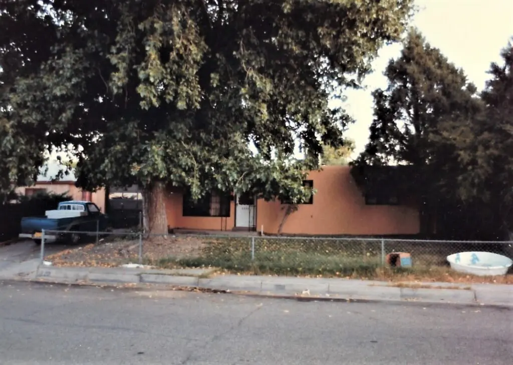 You can barely see the house because the mature cottonwood in the front yard had never been cared for or trimmed.