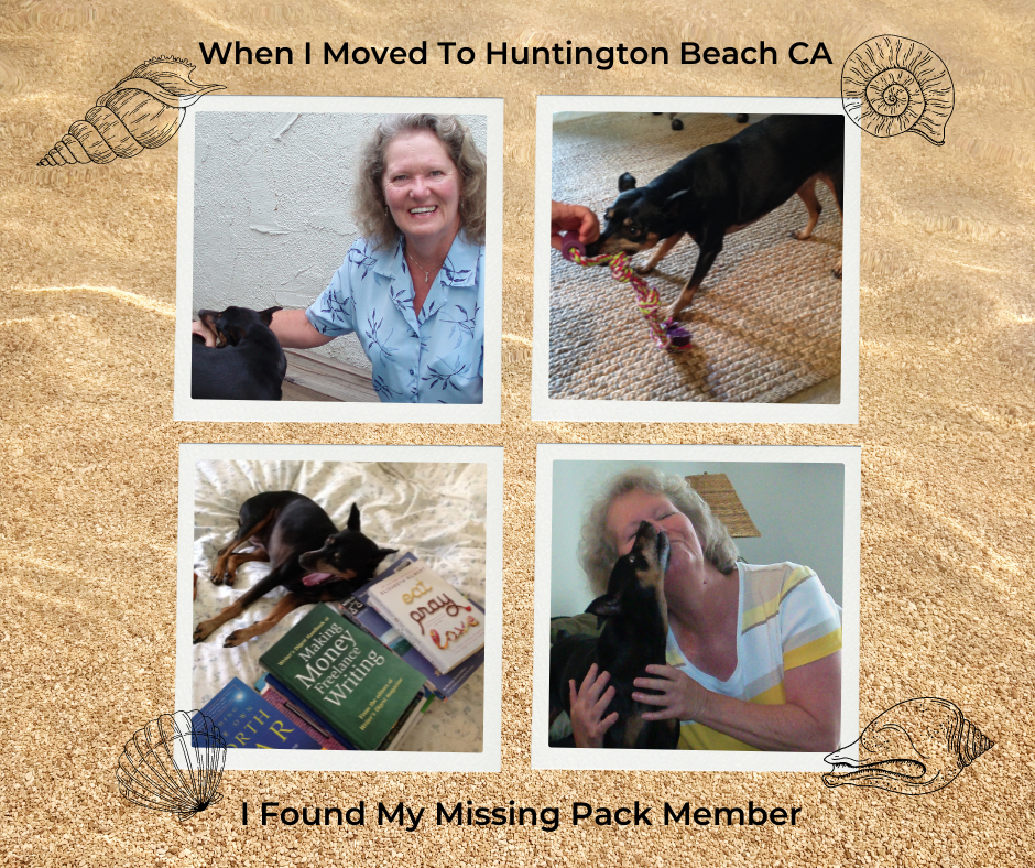 There are two photos of Mickie showing her affection to me, one photo of her playing tug and one of her on the bed yawning by a pile of books.