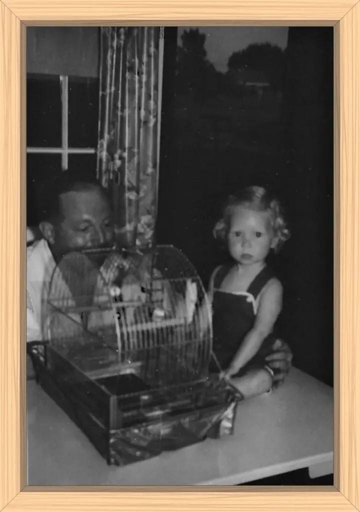 Chirper usually was confined to the basement, where it was dark and often cold. I was his biggest fan and did love the blues I was sure he was singing.