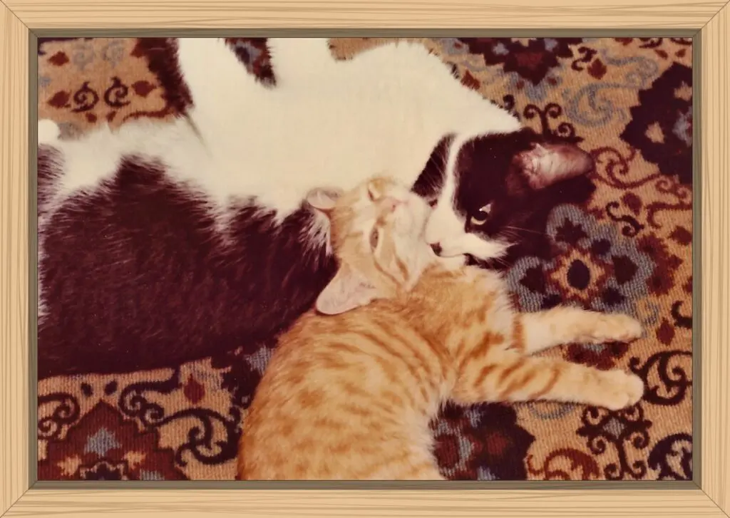 Chris and Lucy are on the floor. Chris is biting Lucy's neck, and she loves it!