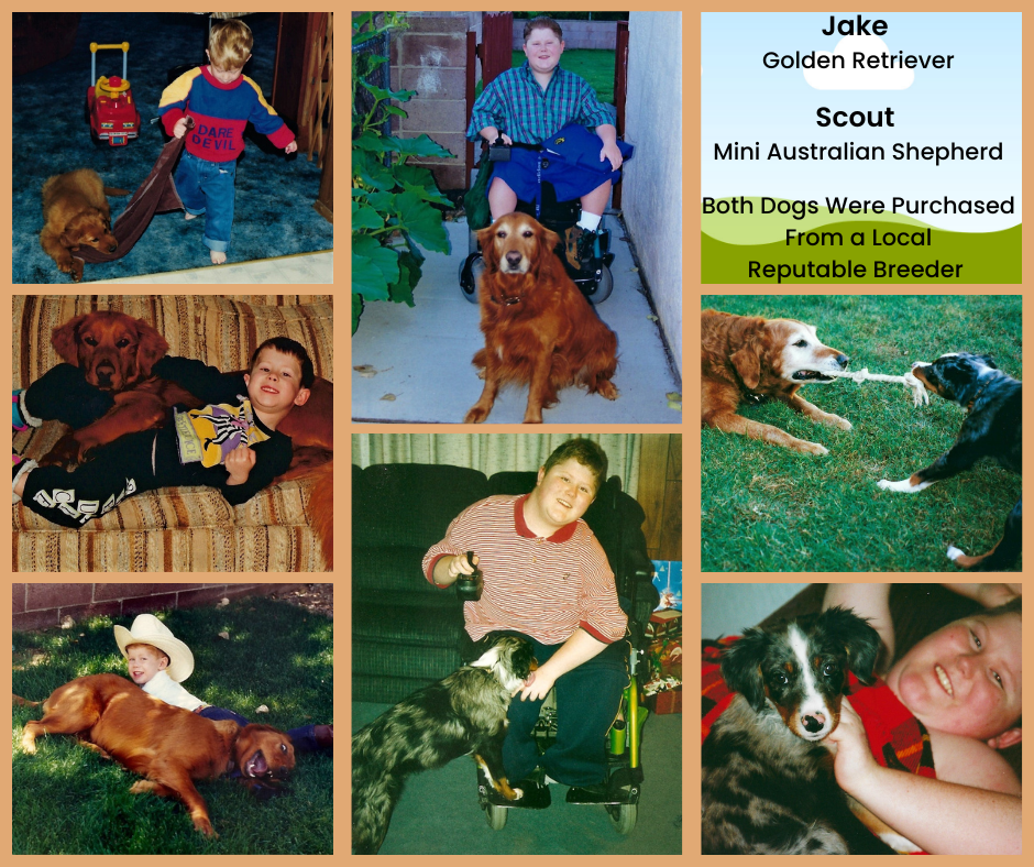 Six photos with Hayes and Jake from puppyhood until wheelchair chair days; two photos with Scout and Hayes; one with Jake and Scout playing tug.