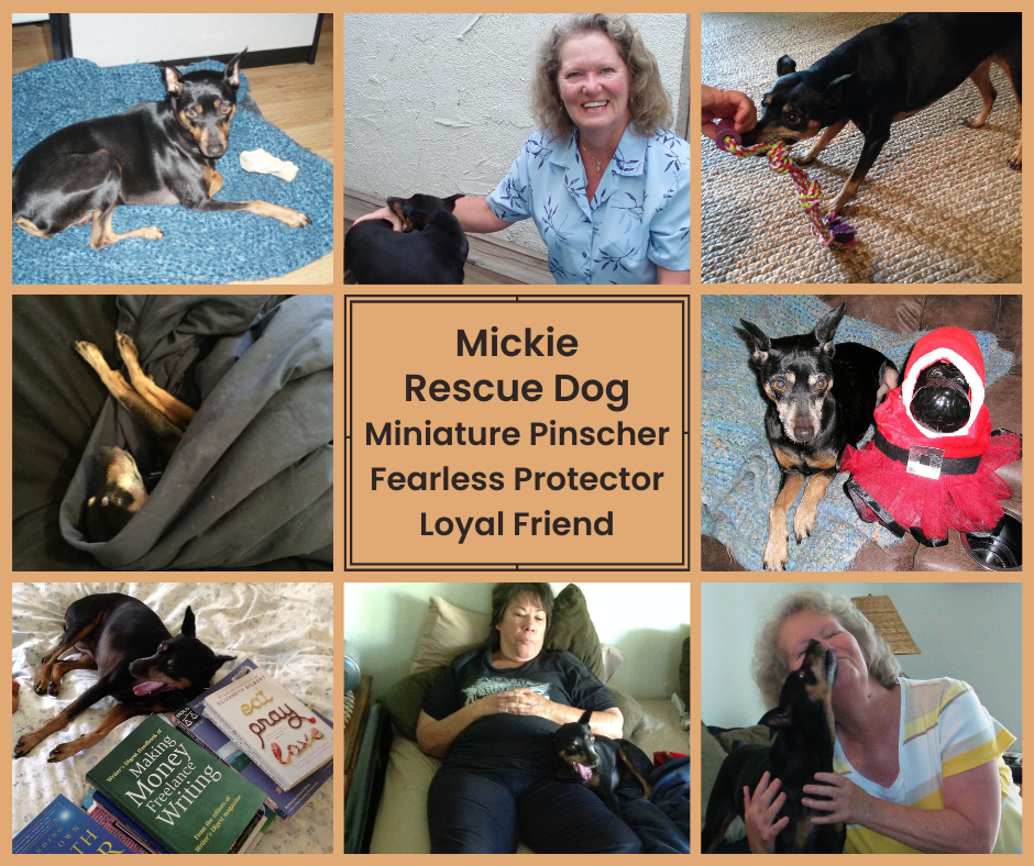 Eight photos of Mickie playing and chilling out with Janet and me.