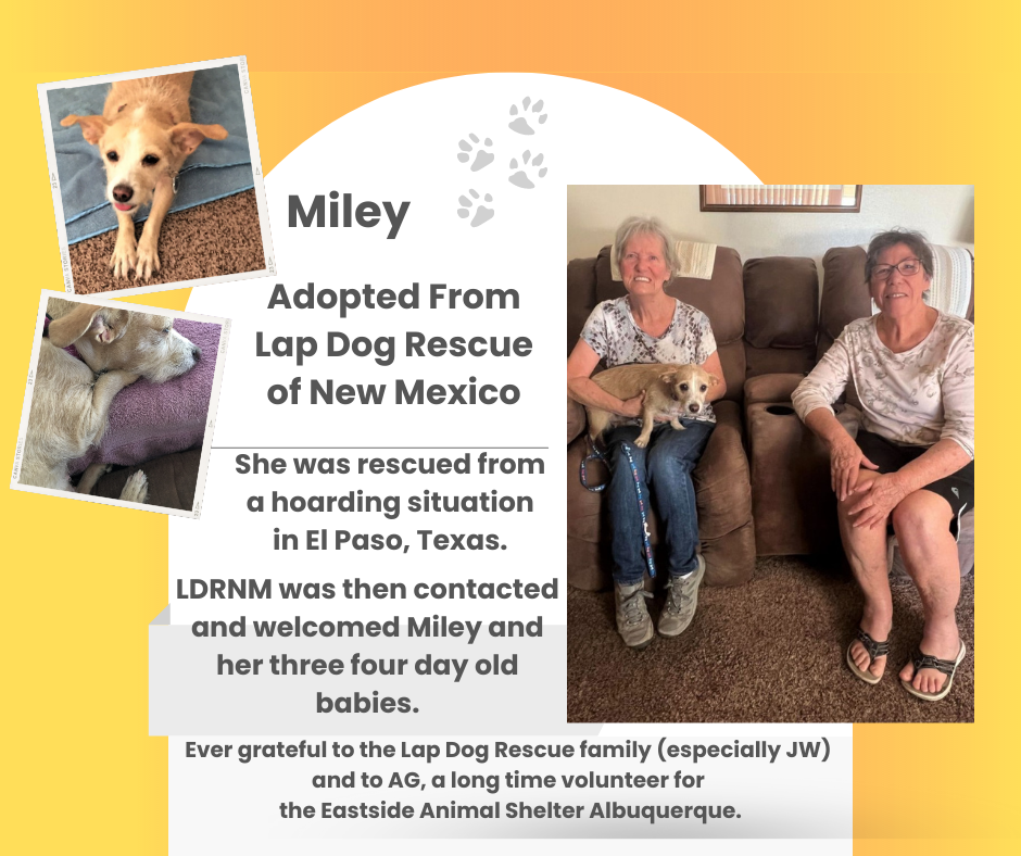 I am holding Miley on our couch and Janet is next to us on adoption day.