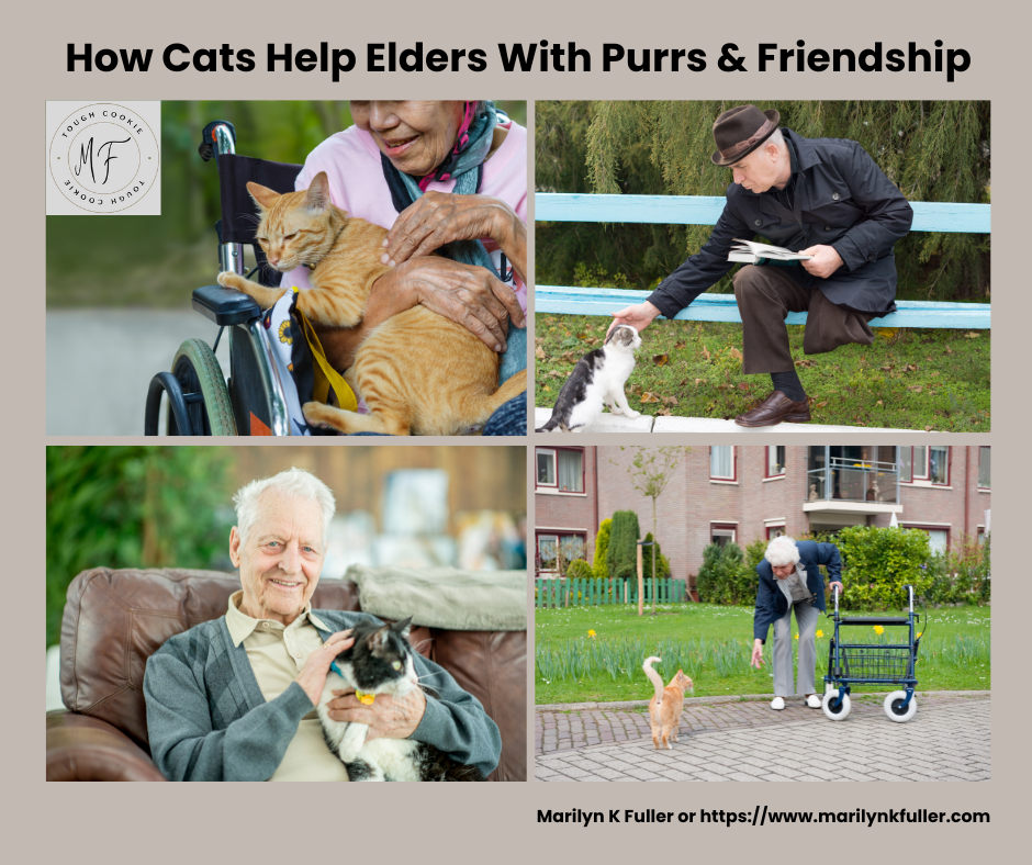Photo collage of four pictures: Elder lady who uses a wheelchair with a tabby purring in her lap; elder gentleman on a park bench petting a cat that went over to him; elder gentleman holding and petting a cat in his lap; elder woman holding on to her walker and putting her hand out so a cat will walk over to her.