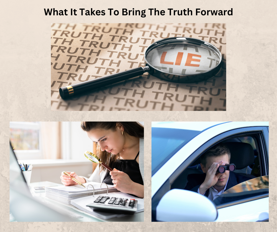 Magnifying glass discovering the LIE to unveil the truth at the top. On the bottom left a woman reading a huge amount of information in a binder. The bottom right has a man sitting in a car looking out using binoculars.