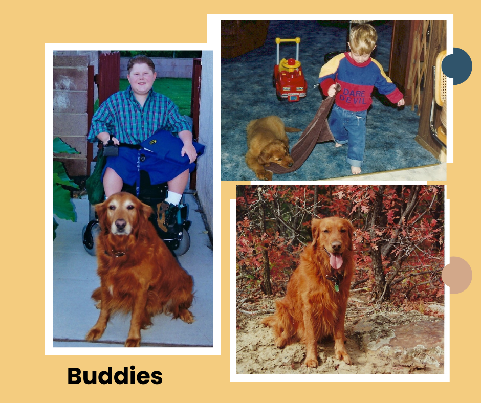 Collage of three photos: Hayes in his power wheelchair with elder Jake in front of him; Hayes about 3 years old and Jake playing tug of war with a towel; and Jake posing in the mountains during the Fall.