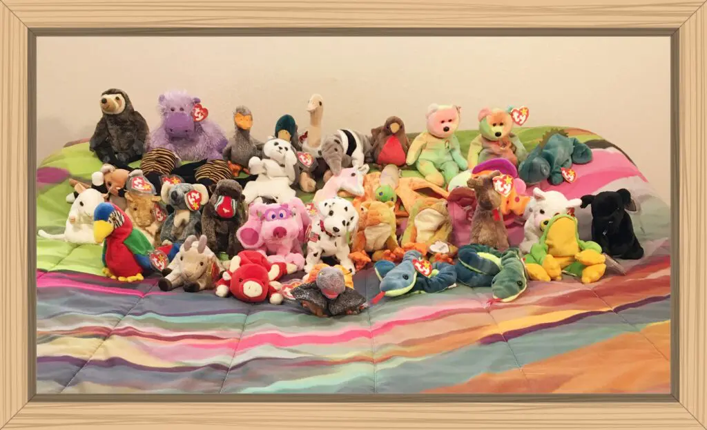 A collection of 36 Beanie Babies that friends and family gave to Hayes that he loved to pray with.