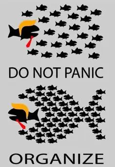 Two fish swimming in the ocean with the Trump hair and red tie made up of smaller schools of fish. The panic fish are scattered about. The organize fish are swimming tight together.