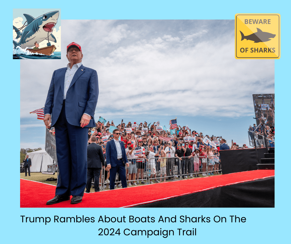 Donald Trump stands on a red carpet in front of a small crowd sitting on bleachers. What does he talk about? Nothing that makes sense to most of us.  