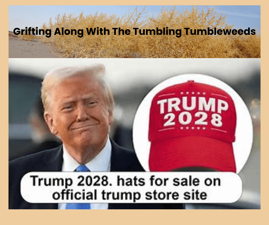 A mass of tumbleweeds at the top with the words "Grifting Along With The Tumbling Tumbleweeds". Trump smiling next to a photo of the Trump 2028 hat.