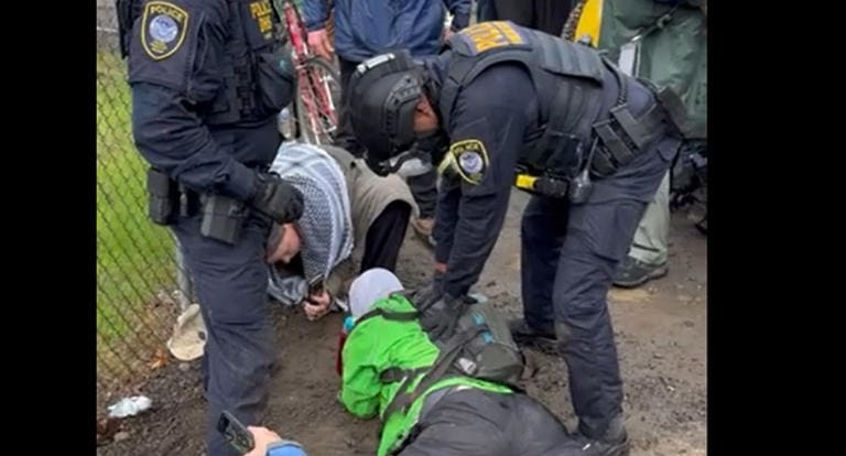 A woman playing the Ghostbusters theme on her clarinet during a peaceful protest is forced to the ground and being arrested.